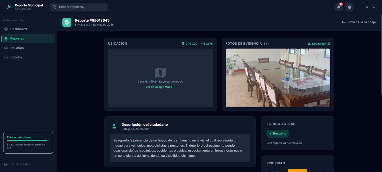 Reporte Municipal - Detalle de un reporte
